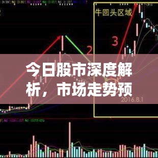今日股市深度解析，市场走势预测与投资者策略建议视频发布