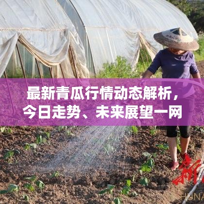 精益求精 第2页