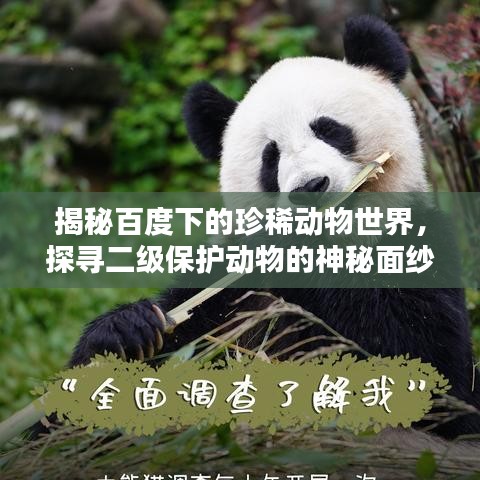 揭秘百度下的珍稀动物世界，探寻二级保护动物的神秘面纱