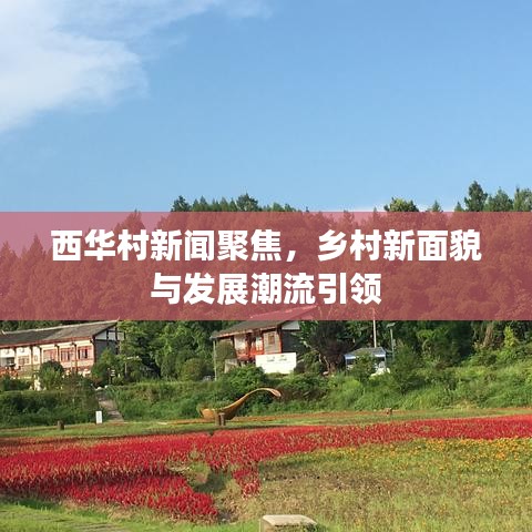 西华村新闻聚焦，乡村新面貌与发展潮流引领