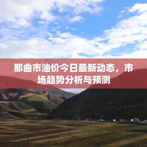 那曲市油价今日最新动态，市场趋势分析与预测