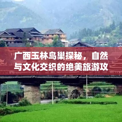 广西玉林鸟巢探秘，自然与文化交织的绝美旅游攻略图