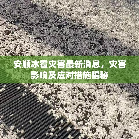 安顺冰雹灾害最新消息，灾害影响及应对措施揭秘