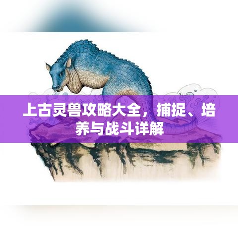 上古灵兽攻略大全，捕捉、培养与战斗详解