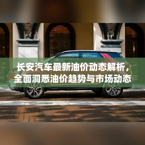 长安汽车最新油价动态解析，全面洞悉油价趋势与市场动态