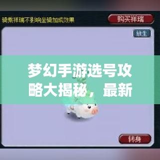 梦幻手游选号攻略大揭秘，最新指南，助你打造梦幻人生！