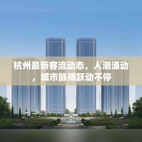 杭州最新客流动态，人潮涌动，城市脉搏跃动不停
