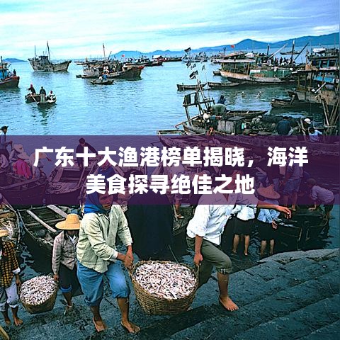 广东十大渔港榜单揭晓，海洋美食探寻绝佳之地