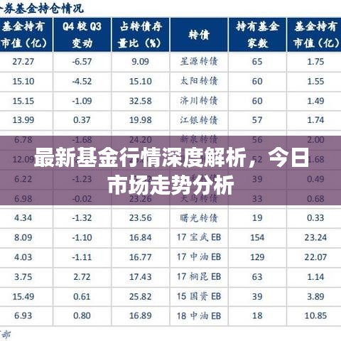 最新基金行情深度解析，今日市场走势分析