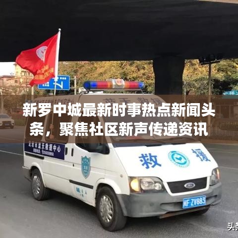新罗中城最新时事热点新闻头条，聚焦社区新声传递资讯