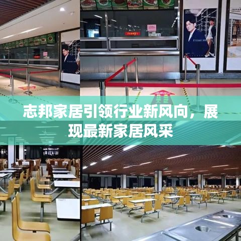 志邦家居引领行业新风向，展现最新家居风采