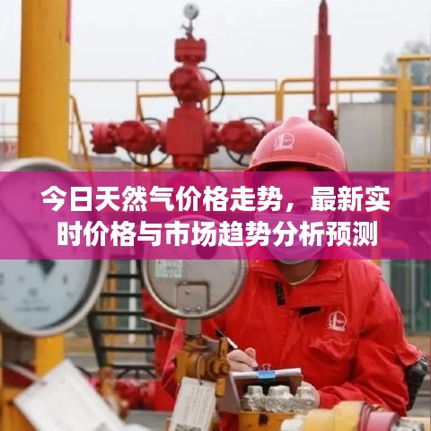 今日天然气价格走势，最新实时价格与市场趋势分析预测