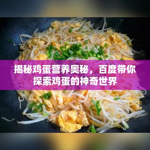 揭秘鸡蛋营养奥秘，百度带你探索鸡蛋的神奇世界
