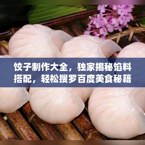 饺子制作大全，独家揭秘馅料搭配，轻松搜罗百度美食秘籍！