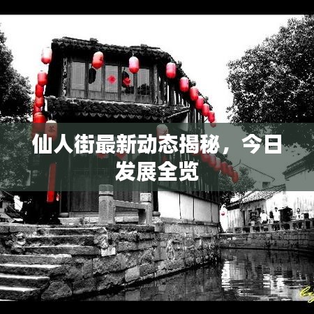 仙人街最新动态揭秘，今日发展全览