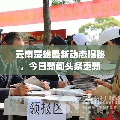 2025年6月11日 第32页