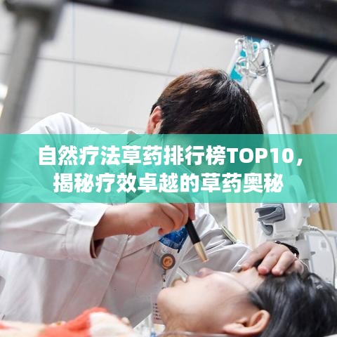 2025年6月11日 第31页