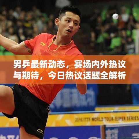 男乒最新动态，赛场内外热议与期待，今日热议话题全解析！
