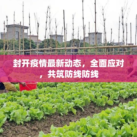 2025年6月11日 第12页