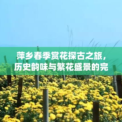 萍乡春季赏花探古之旅，历史韵味与繁花盛景的完美结合