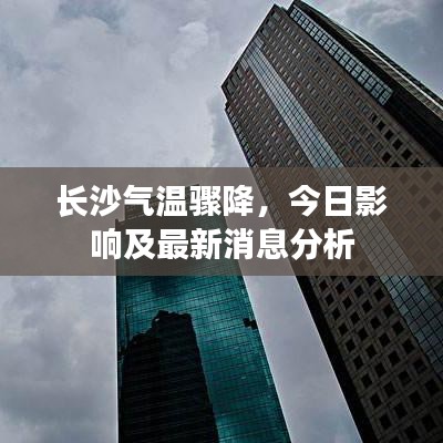 2025年6月11日 第4页