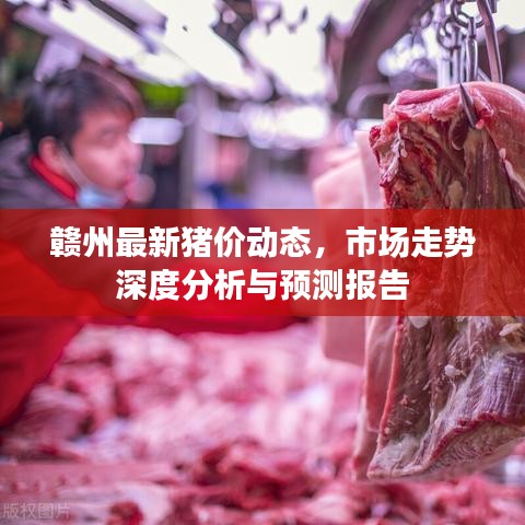 2025年6月12日 第22页