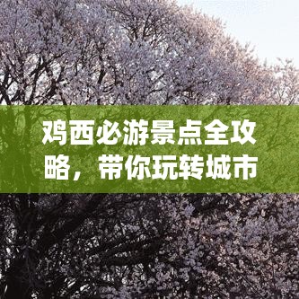 鸡西必游景点全攻略，带你玩转城市魅力之旅