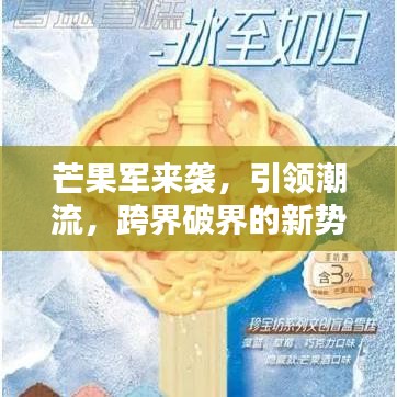 2025年6月13日 第28页