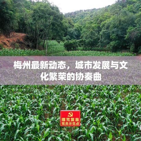 梅州最新动态，城市发展与文化繁荣的协奏曲