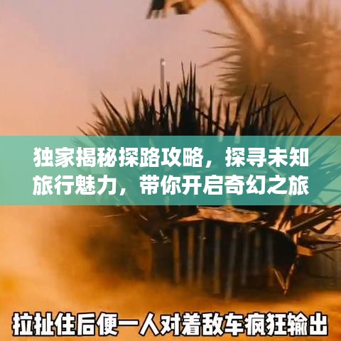 独家揭秘探路攻略，探寻未知旅行魅力，带你开启奇幻之旅！