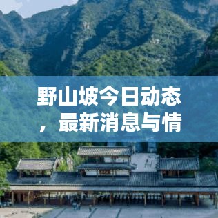 野山坡今日动态，最新消息与情况速览