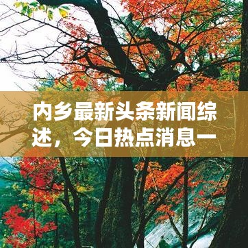 内乡最新头条新闻综述，今日热点消息一网打尽