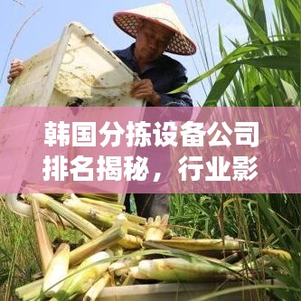 韩国分拣设备公司排名揭秘，行业影响力不容小觑