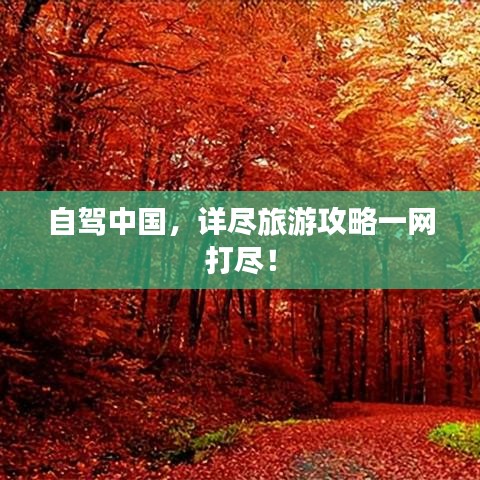 自驾中国，详尽旅游攻略一网打尽！