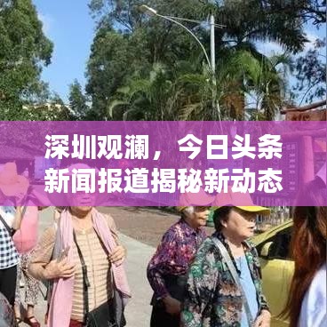 深圳观澜，今日头条新闻报道揭秘新动态