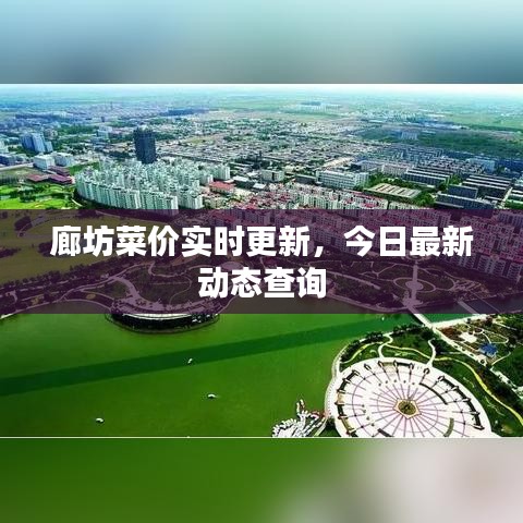 廊坊菜价实时更新，今日最新动态查询