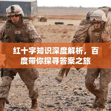 红十字知识深度解析，百度带你探寻答案之旅