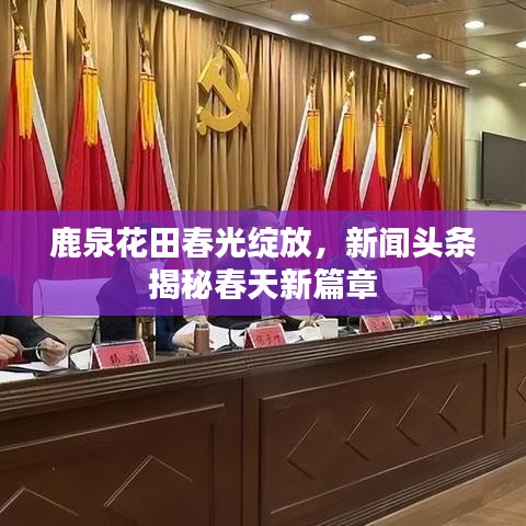 鹿泉花田春光绽放，新闻头条揭秘春天新篇章