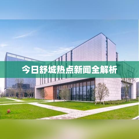 今日舒城热点新闻全解析