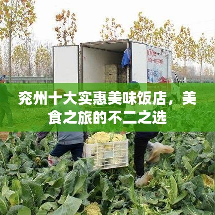 兖州十大实惠美味饭店，美食之旅的不二之选