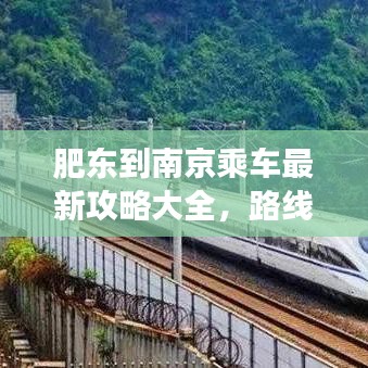 2025年6月17日