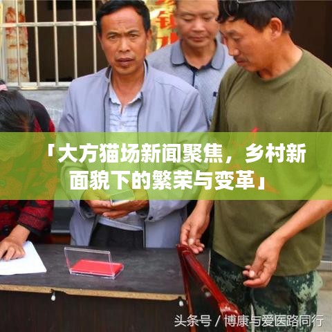 「大方猫场新闻聚焦，乡村新面貌下的繁荣与变革」