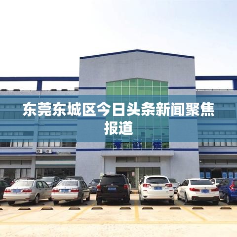 东莞东城区今日头条新闻聚焦报道