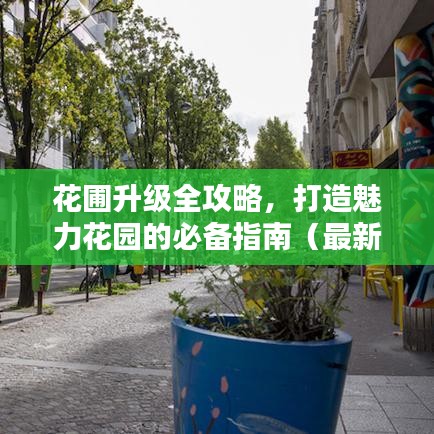 花圃升级全攻略，打造魅力花园的必备指南（最新）