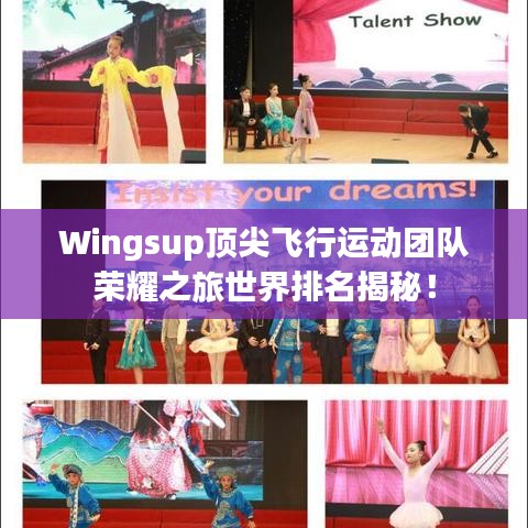 Wingsup顶尖飞行运动团队荣耀之旅世界排名揭秘！