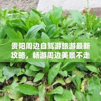 贵阳周边自驾游旅游最新攻略，畅游周边美景不走弯路！