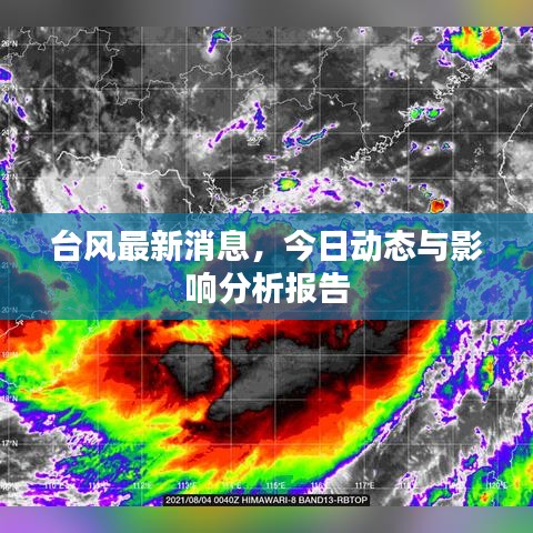 台风最新消息，今日动态与影响分析报告