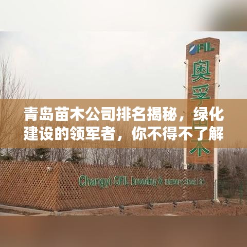 青岛苗木公司排名揭秘，绿化建设的领军者，你不得不了解的佼佼者！