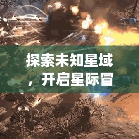 一花独放