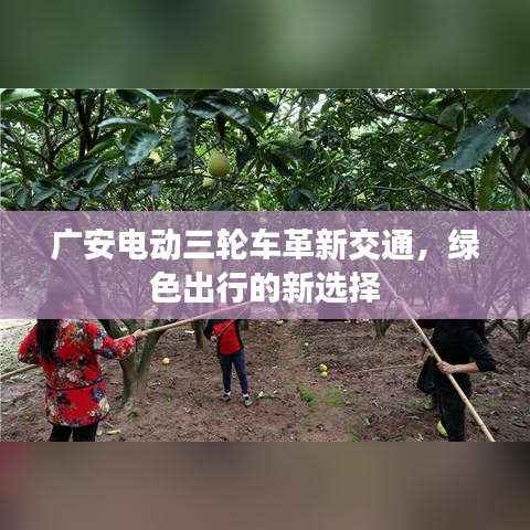 刻画入微